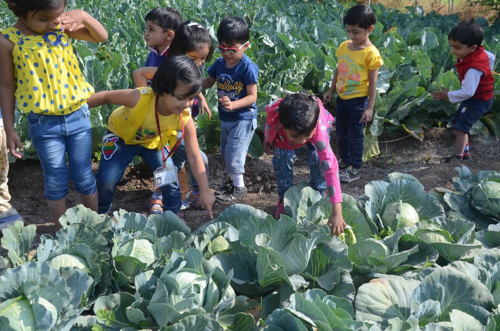 extra curicular activities vijaya school students farm outing student activity