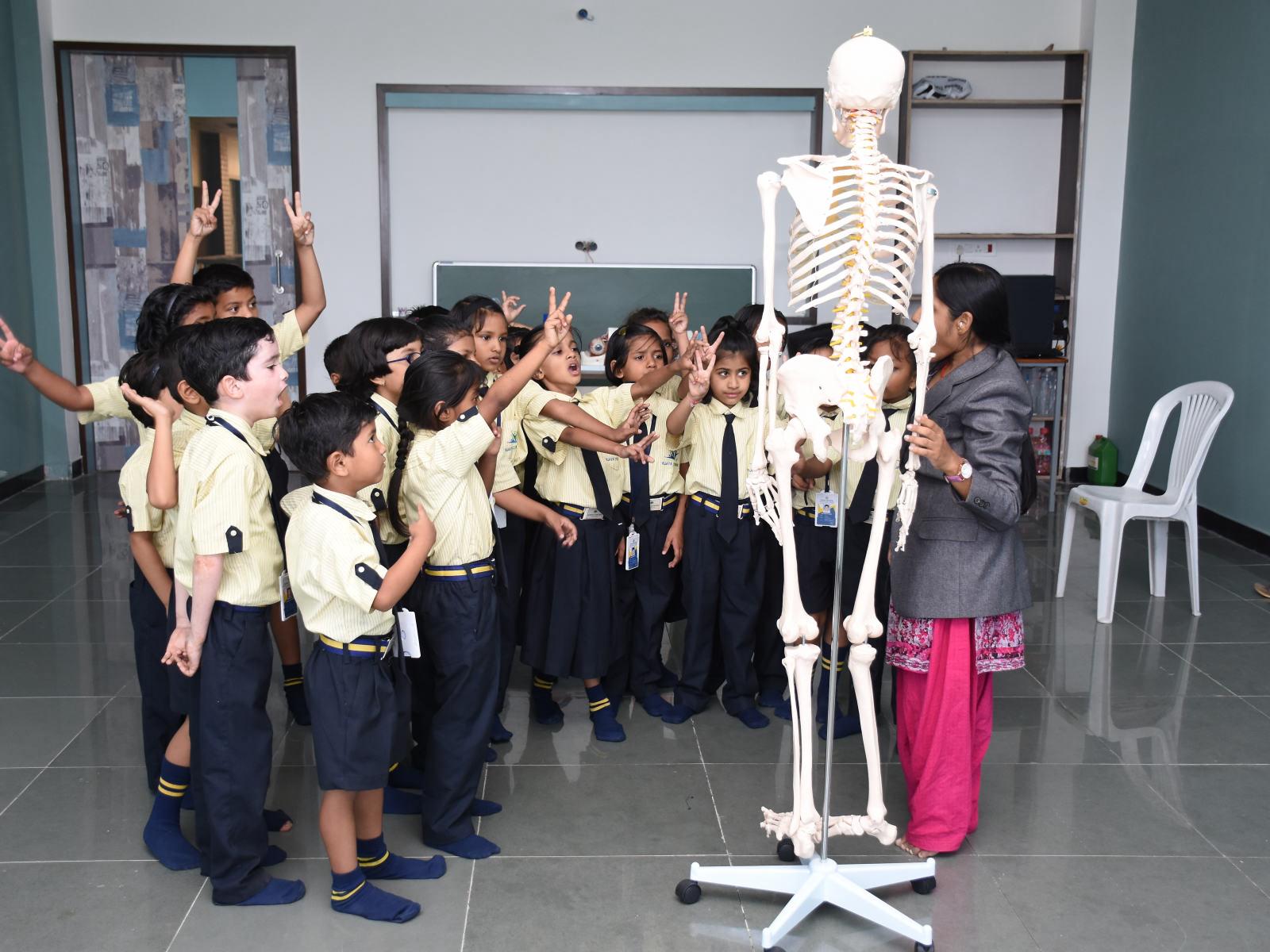 studying and learning body organs vijaya convent cbse school amravati