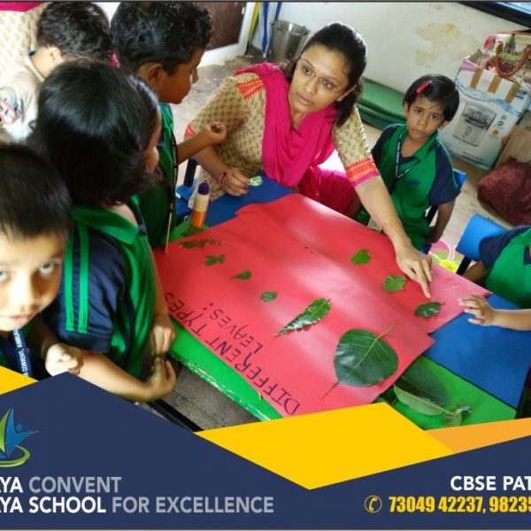 science practical standard 2 cbse pattern school best teachers in amravati best teaching staff in amravati teachers teaching techniques schools in amravati