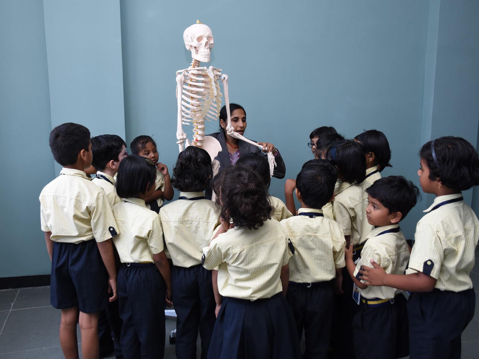Learning human anatomy vijaya convent school amravati