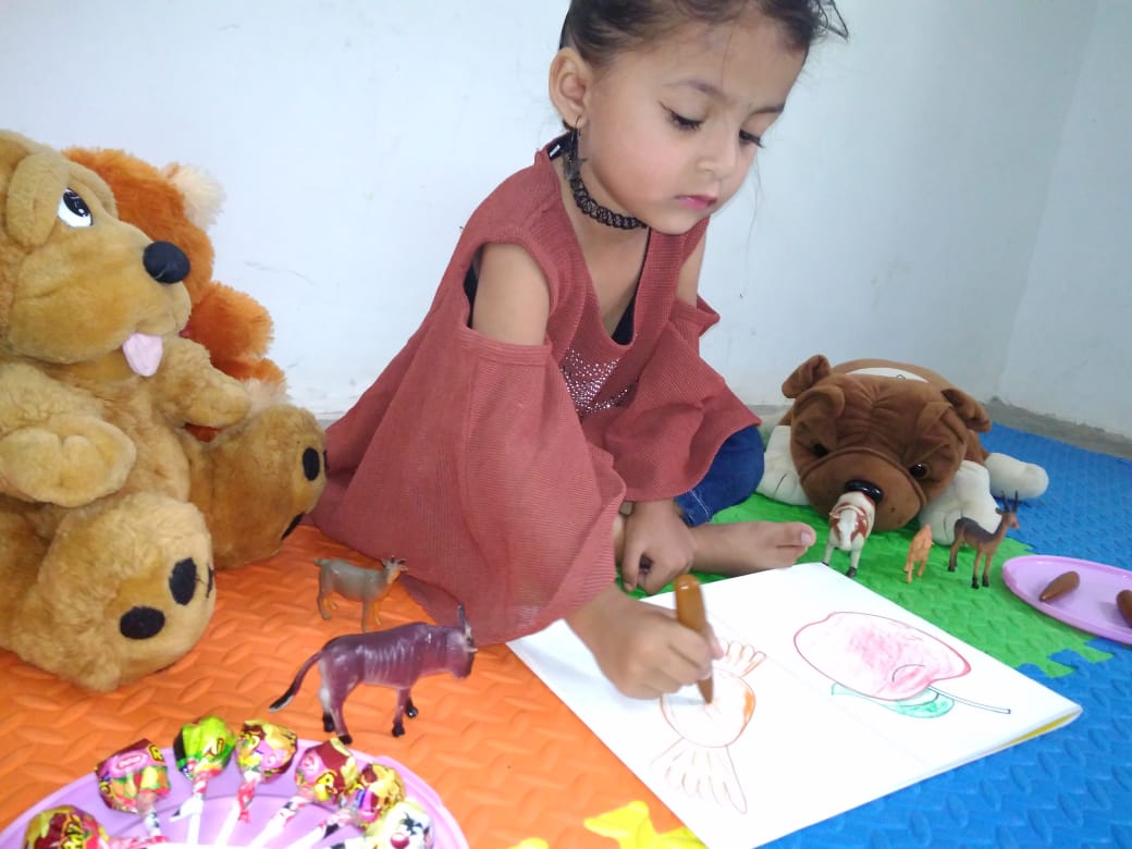 braun-color-learning-activity-vijaya-convent-school-amravati