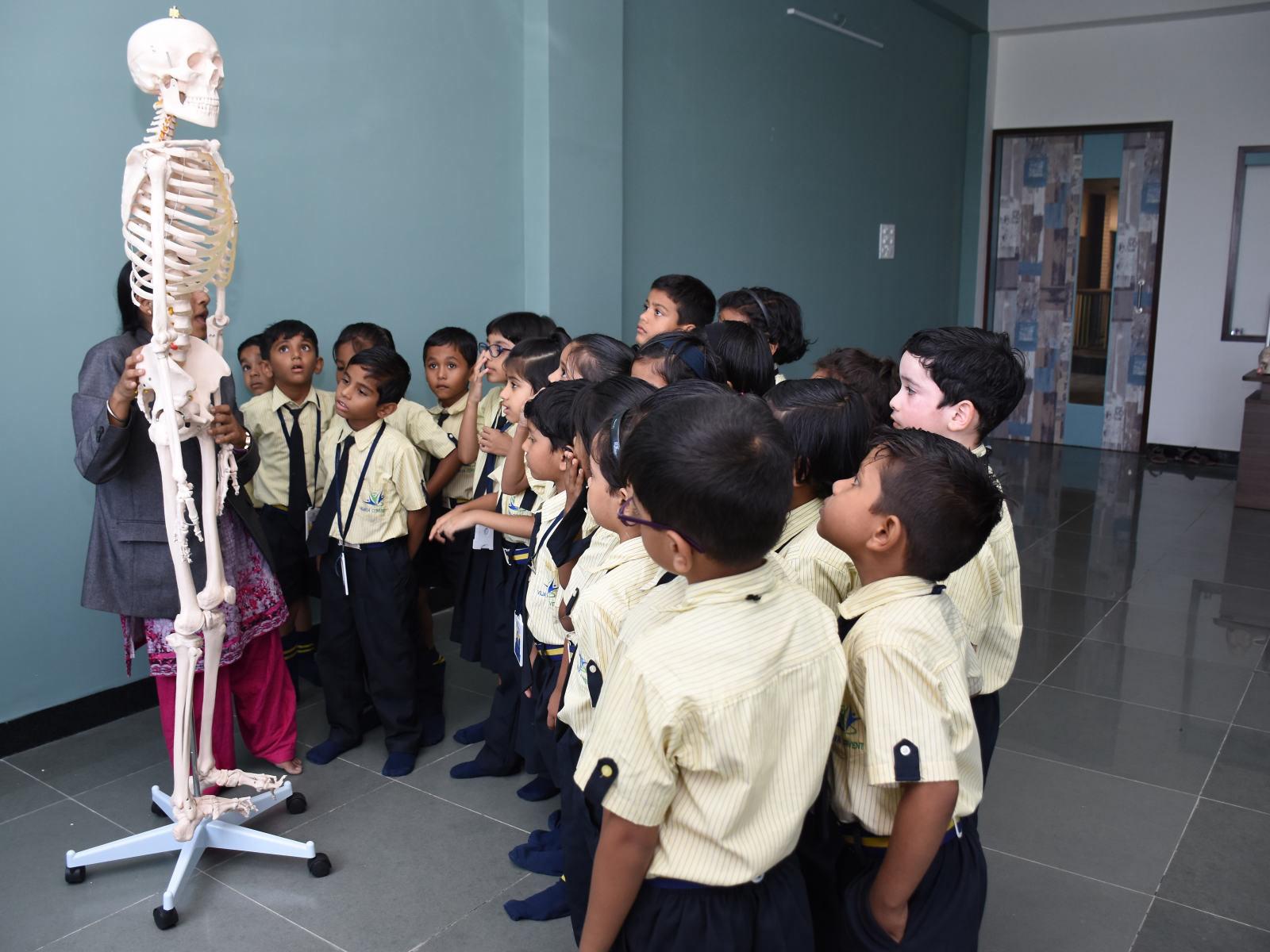 studying and learning anatomy vijaya convent cbse school amravati